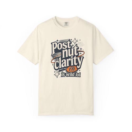 Post Nut Clarity Graphic T-Shirt — Funny Retro Typography Tee