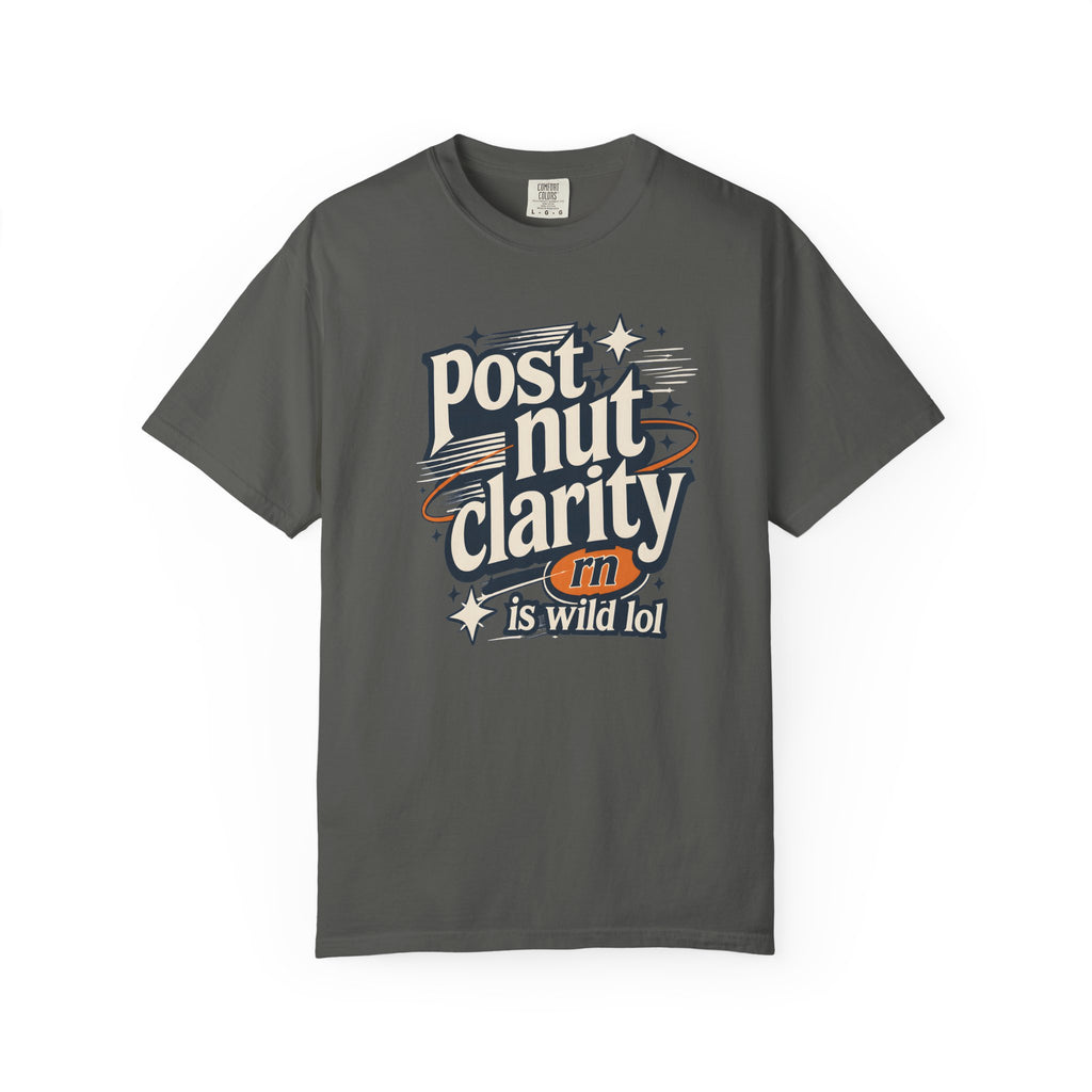 Post Nut Clarity Graphic T-Shirt — Funny Retro Typography Tee