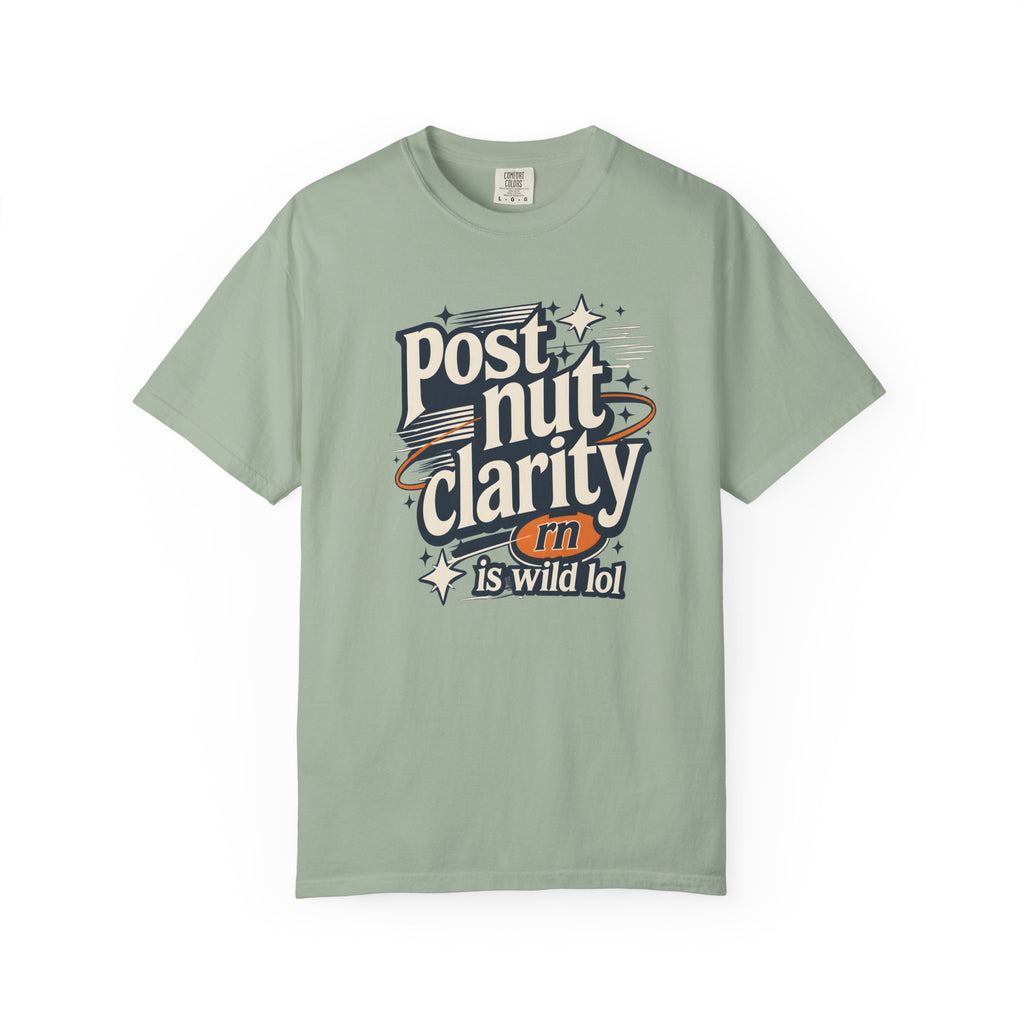 Post Nut Clarity Graphic T-Shirt — Funny Retro Typography Tee