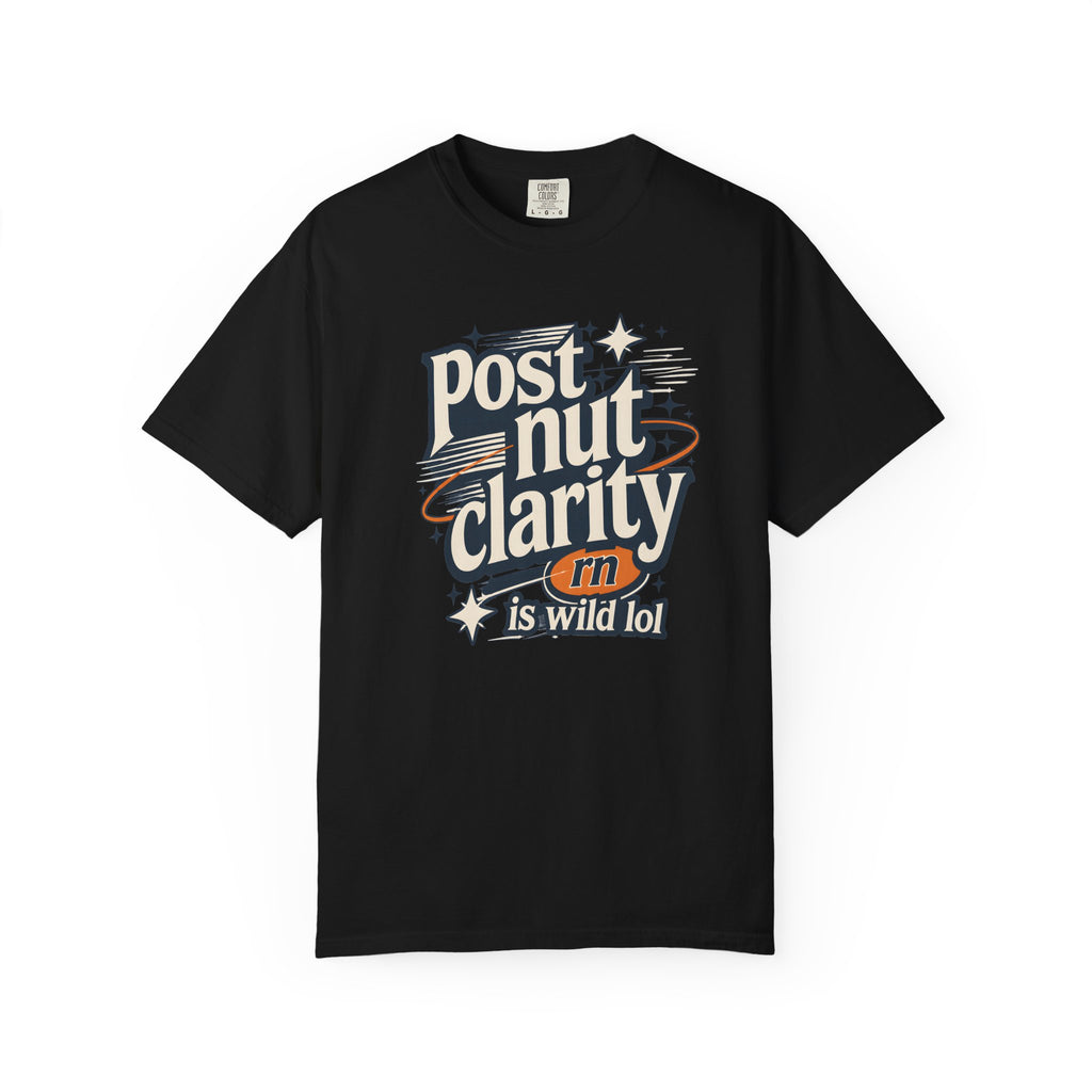 Post Nut Clarity Graphic T-Shirt — Funny Retro Typography Tee