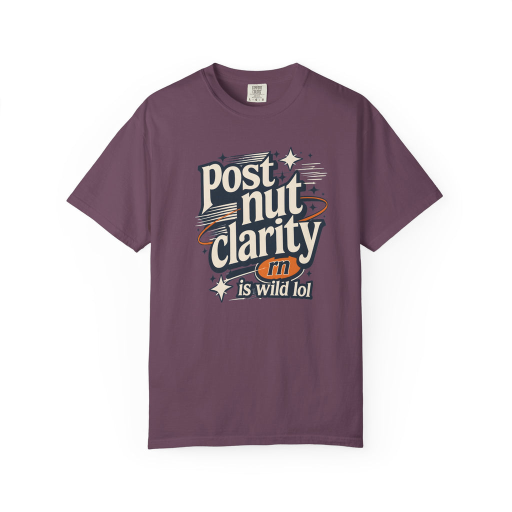 Post Nut Clarity Graphic T-Shirt — Funny Retro Typography Tee