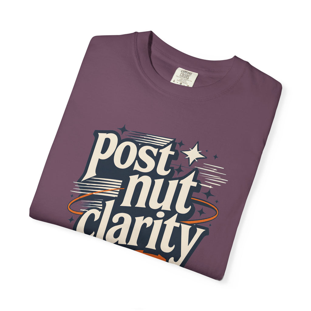 Post Nut Clarity Graphic T-Shirt — Funny Retro Typography Tee