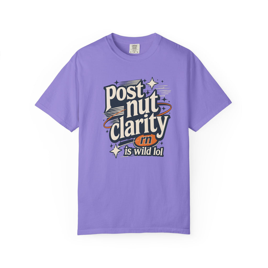 Post Nut Clarity Graphic T-Shirt — Funny Retro Typography Tee