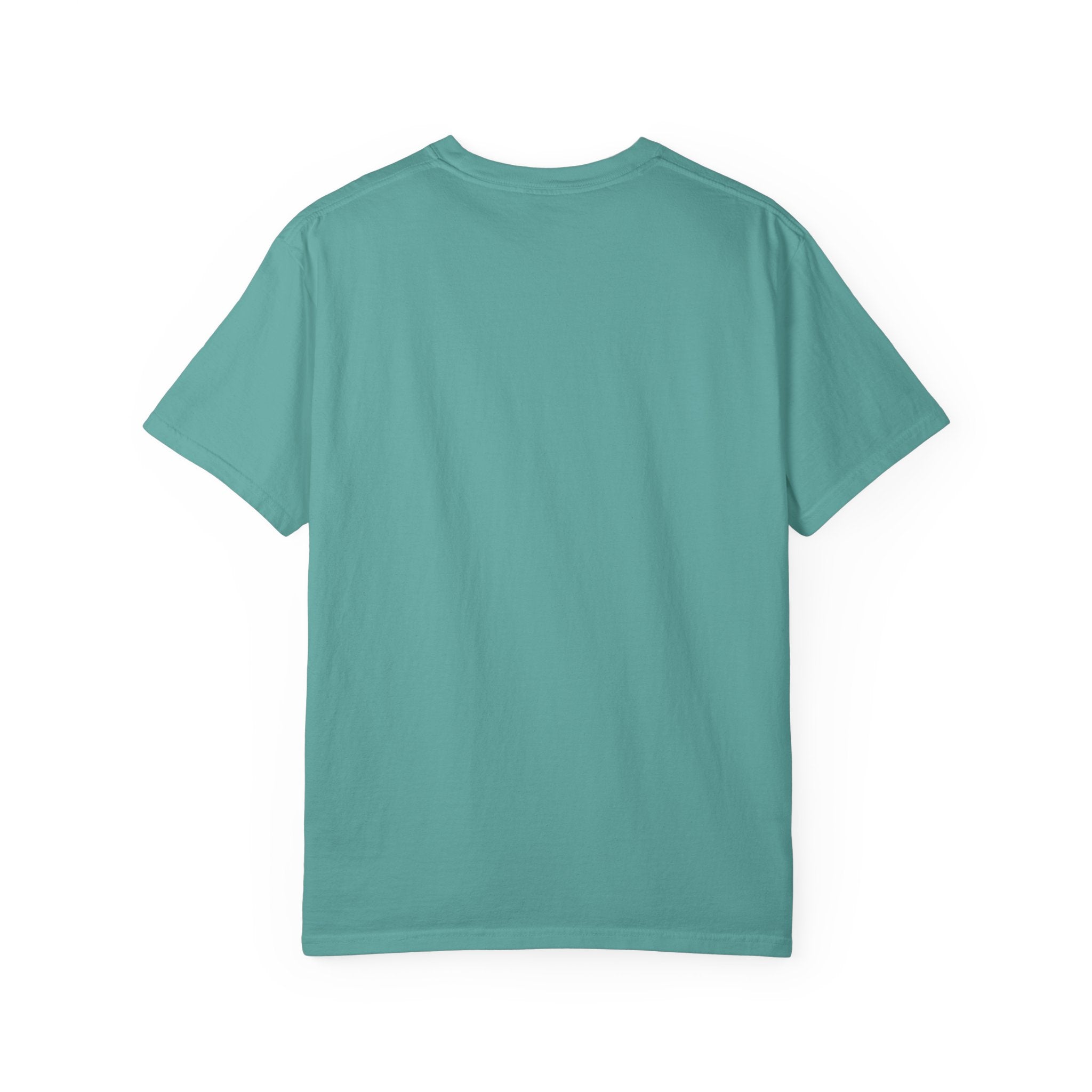 Post Nut Clarity Graphic T-Shirt — Funny Retro Typography Tee