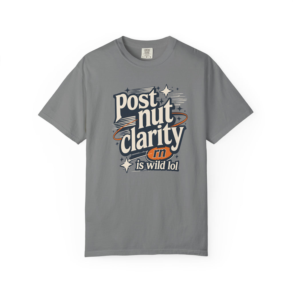 Post Nut Clarity Graphic T-Shirt — Funny Retro Typography Tee