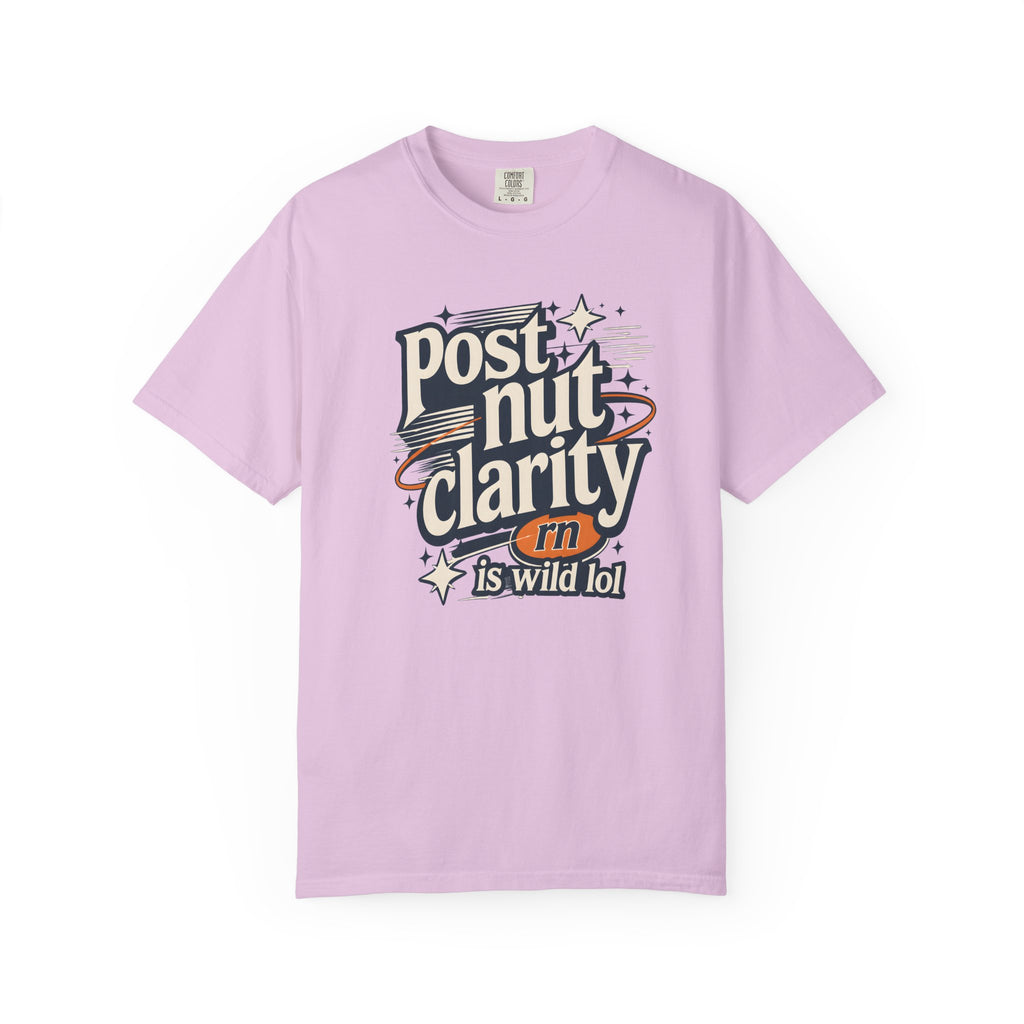 Post Nut Clarity Graphic T-Shirt — Funny Retro Typography Tee