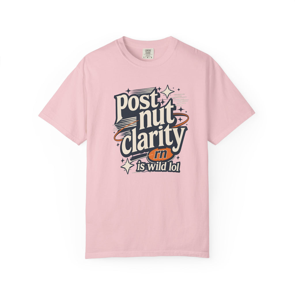 Post Nut Clarity Graphic T-Shirt — Funny Retro Typography Tee