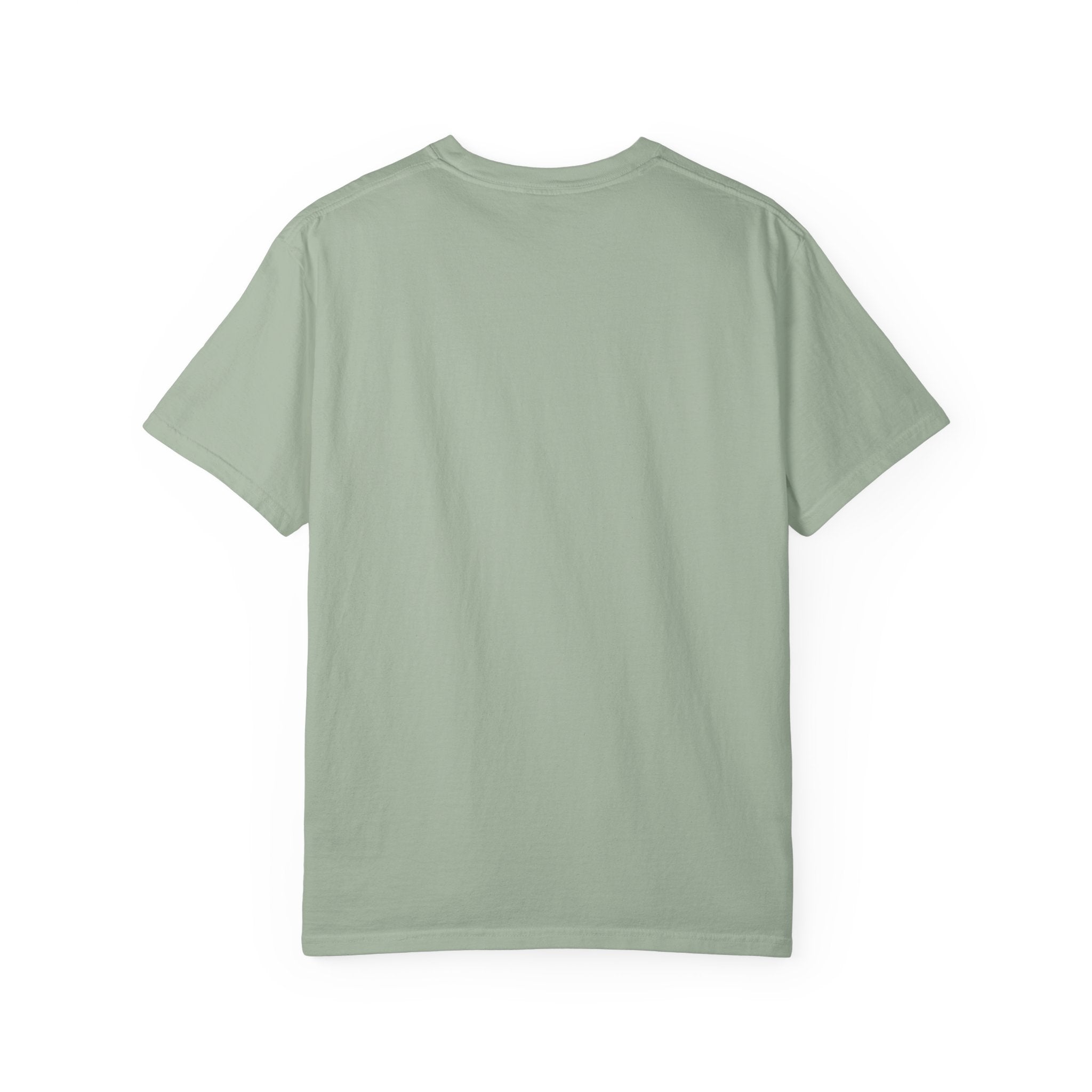 Post Nut Clarity Graphic T-Shirt — Funny Retro Typography Tee