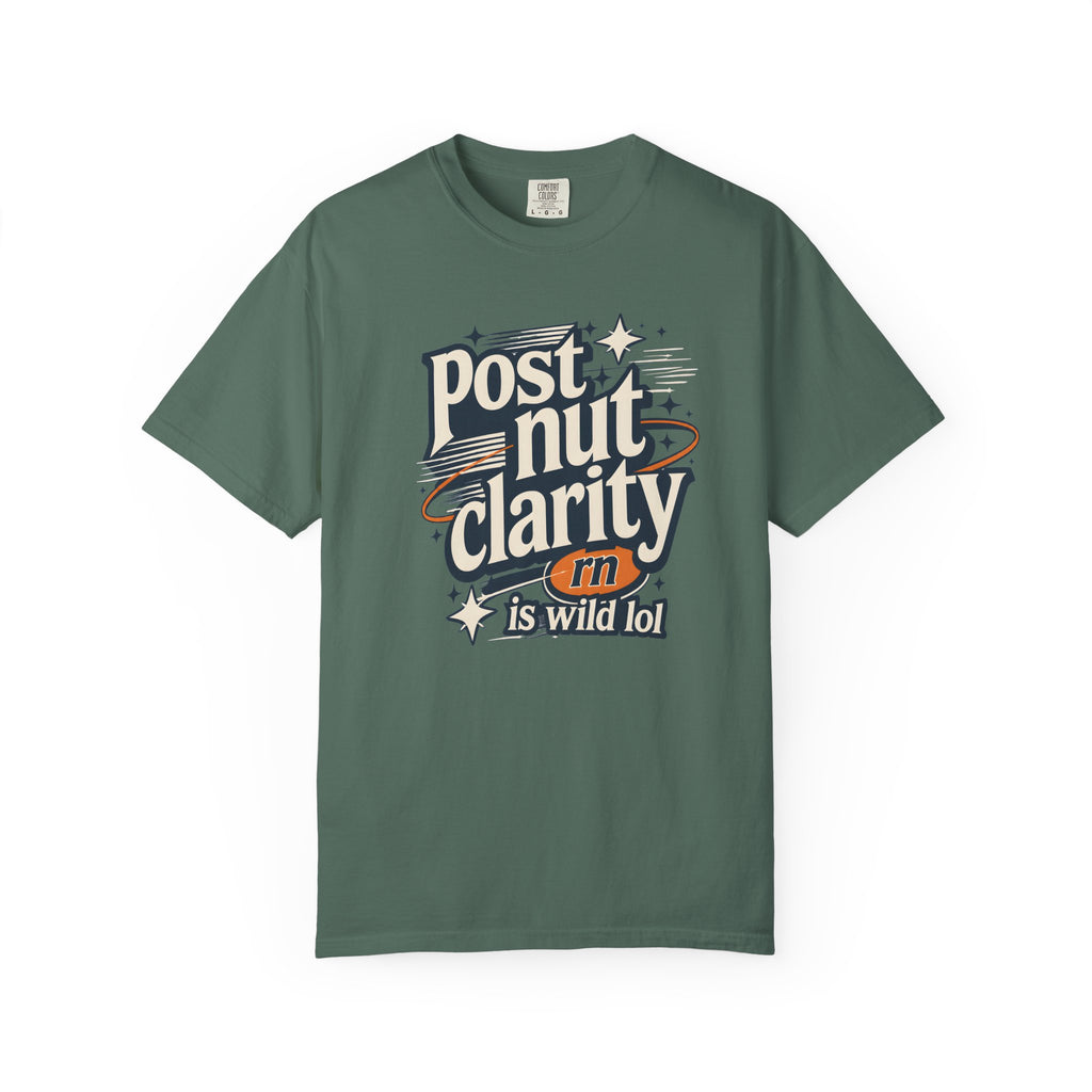 Post Nut Clarity Graphic T-Shirt — Funny Retro Typography Tee